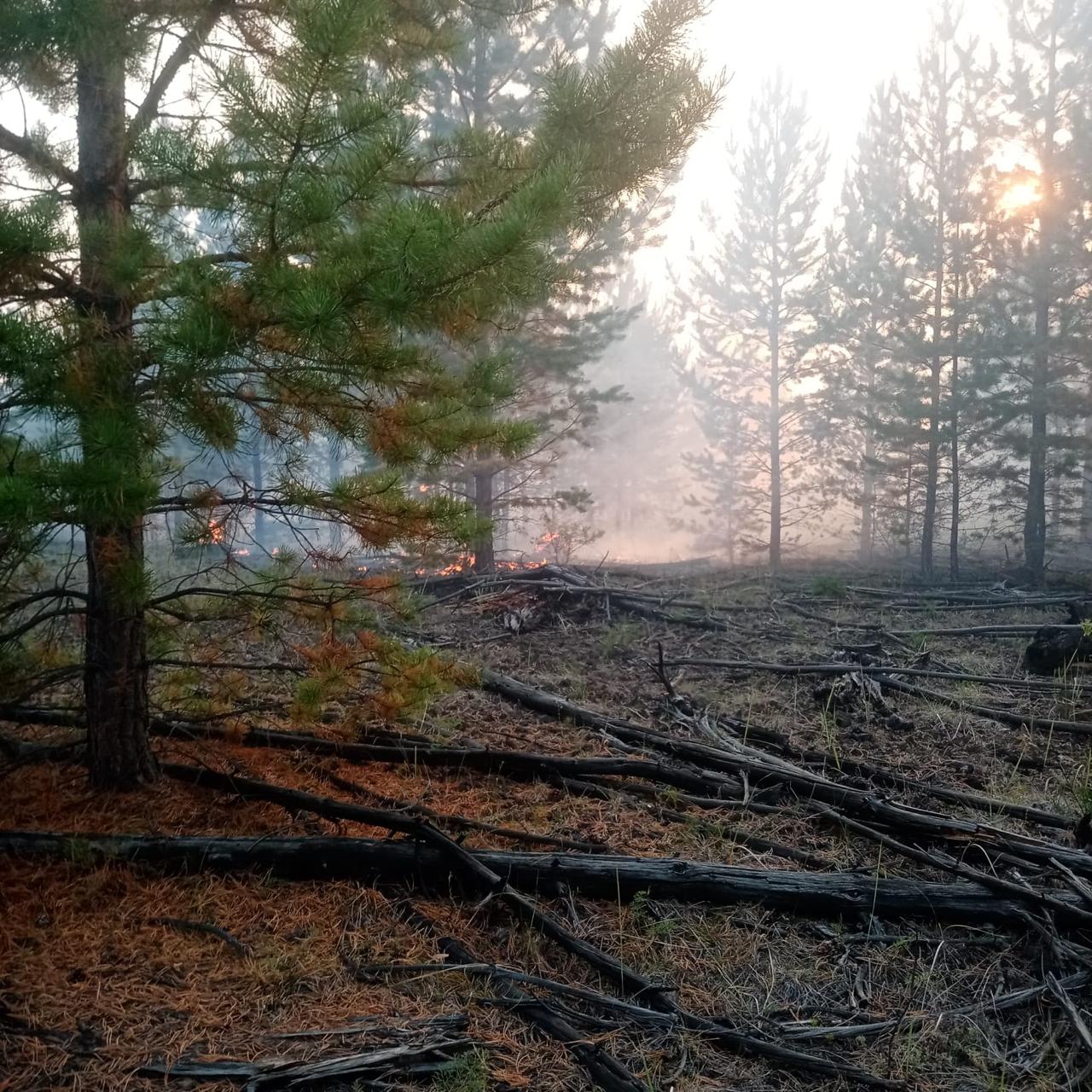 В Бурятии локализовали крупный лесной пожар вблизи у поселка Майский