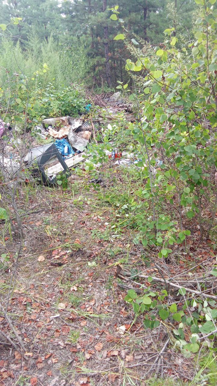 Житель Улан-Удэ вывалил мусор из грузовика на природе